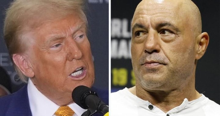 Trump repeated election lies in his interview with Joe Rogan. Here are the facts - National | Globalnews.ca