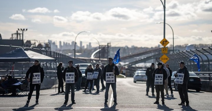 B.C. port lockout: Union, employer plan mediated talks  | Globalnews.ca