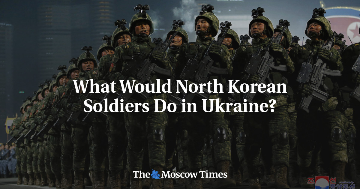 What Would North Korean Soldiers Do in Ukraine? - The Moscow Times