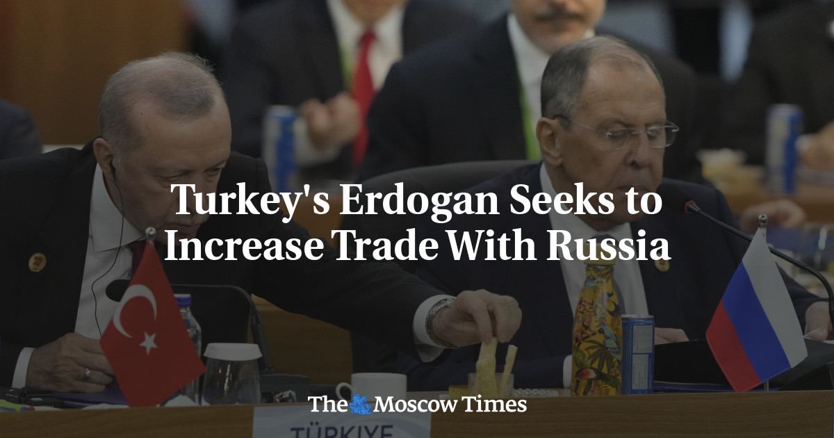 Turkey's Erdogan Seeks to Increase Trade With Russia - The Moscow Times