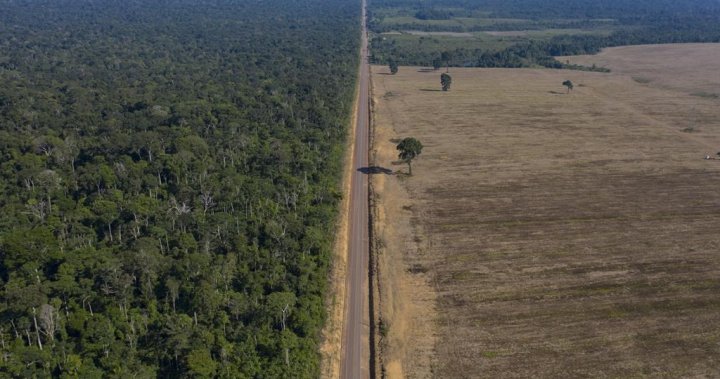 38 people die in a crash between a passenger bus and a truck in Brazil - National | Globalnews.ca