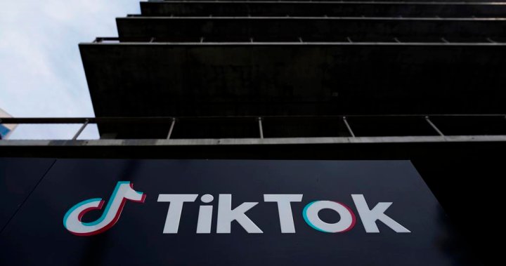 TikTok’s challenge of U.S. forced ban law to be heard by Supreme Court - National | Globalnews.ca