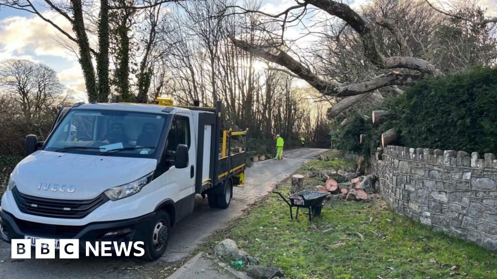 Storm Darragh: National Grid 'biggest effort' to restore power