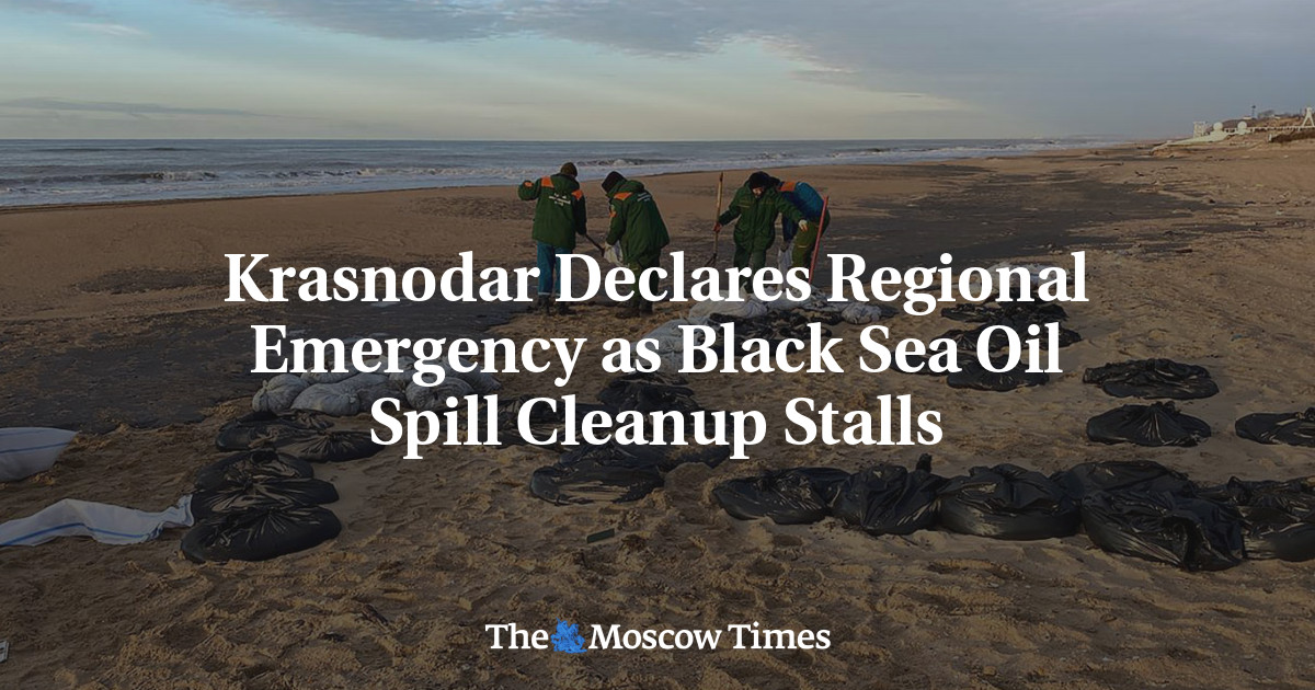 Krasnodar Declares Regional Emergency as Black Sea Oil Spill Cleanup Stalls - The Moscow Times