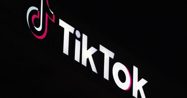 TikTok ban upheld by U.S. Supreme Court. Here’s what could happen next - National | Globalnews.ca