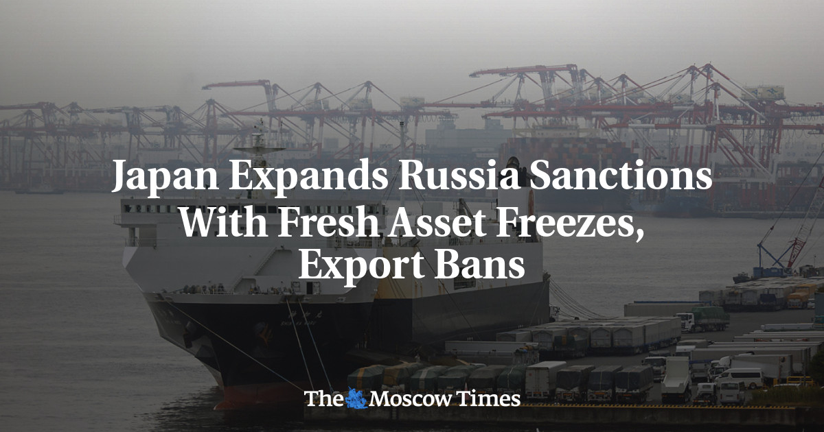 Japan Expands Russia Sanctions With Fresh Asset Freezes, Export Bans - The Moscow Times