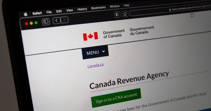 CRA simplifies sign-in process before 2025 tax season - National | Globalnews.ca