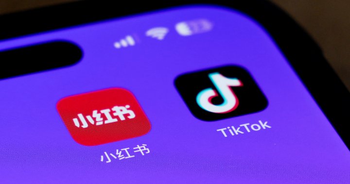 Xiaohongshu, or RedNote, tops App Store charts as U.S. TikTok ban looms - National | Globalnews.ca